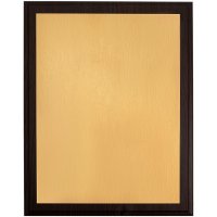 Плакетка Plaque XL