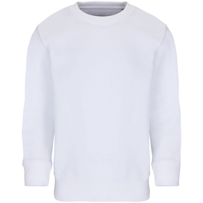 Свитшот детский Columbia Kids, белый, на рост 96-104