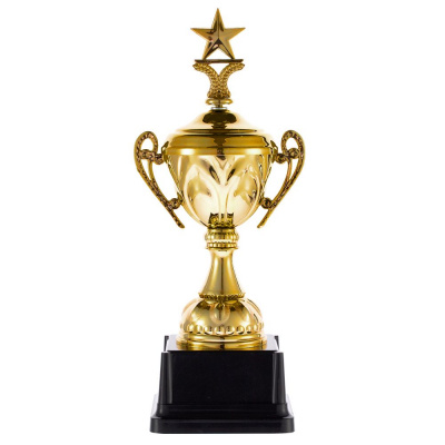 Кубок Top Star