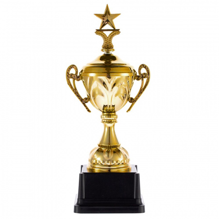 Кубок Top Star