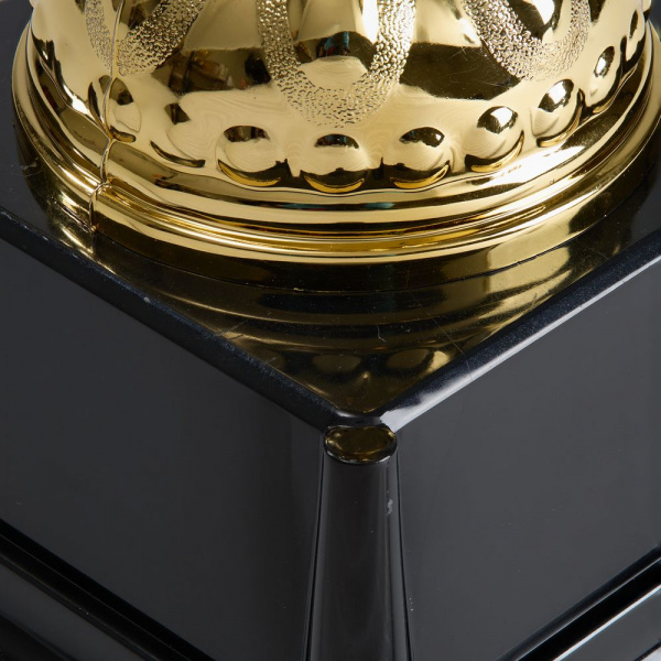 Кубок Top Star