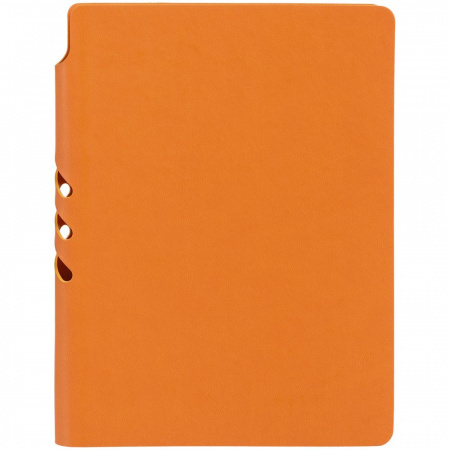 Ежедневник Flexpen Color, датированный