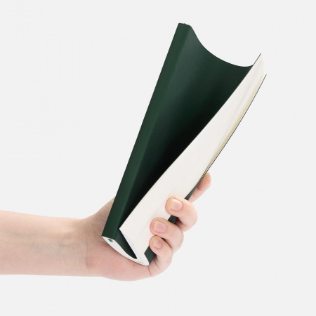 Ежедневник Flat Light ver.2, недатированный