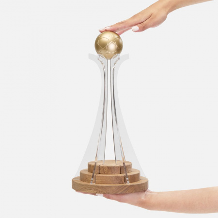 кубок everball c 3d-элементами