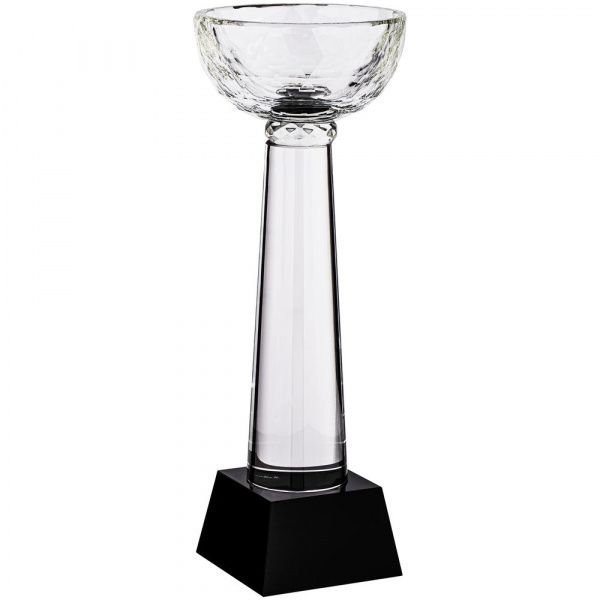 кубок cupture