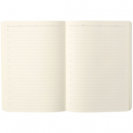Ежедневник Eco Write