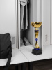 Кубок Awardee, большой