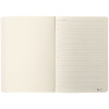 Ежедневник Eco Write